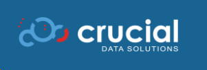 Crucial Data Solutions logo 3